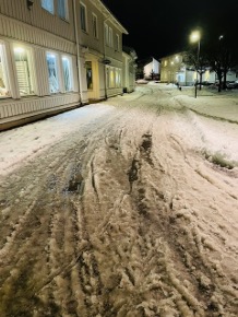 Snömodd